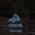 Hopefully Spookily Accurate :) Predictions for 2026 2 image 4